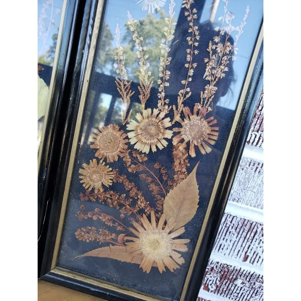 2 ANTIQUE ROCCOCO FRAMED DRIED FLOWER pressed‎ poland victorian oddity wall art